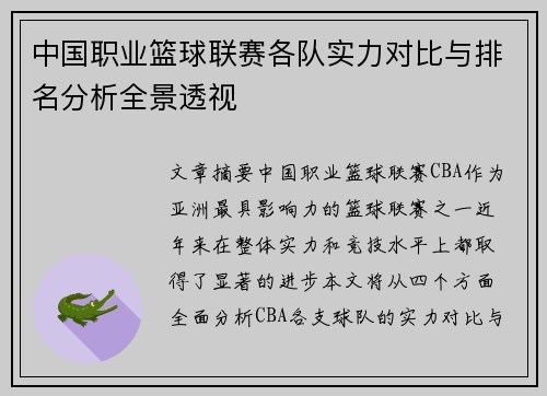 中国职业篮球联赛各队实力对比与排名分析全景透视