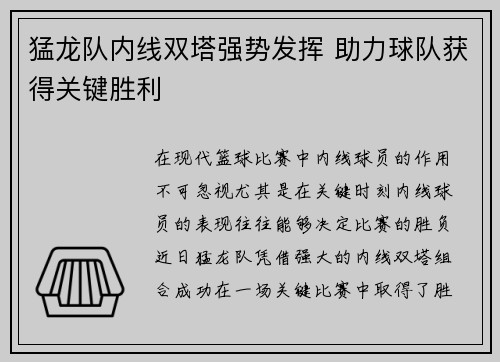 猛龙队内线双塔强势发挥 助力球队获得关键胜利